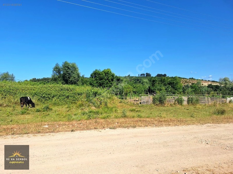 KARASU KUZULUK MAHALLESİNDE SATILIK 7.170 M2 TARLA - SAKARYA KARASU fotoğraf 9