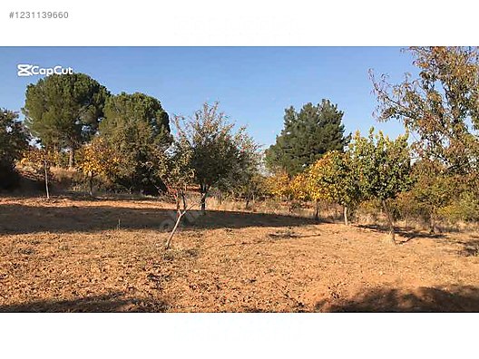 DENİZLİ ÇAL YUKARISEYİT KÖYÜNDE 1.496 M²  TARLA SATILIKTIR - DENİZLİ ÇAL fotoğraf 6