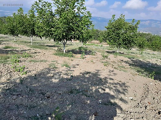 BURSA KELEŞ BELENÖREN'DE 5.270  M² BAHÇE SATILIKTIR - BURSA KELES fotoğraf 13