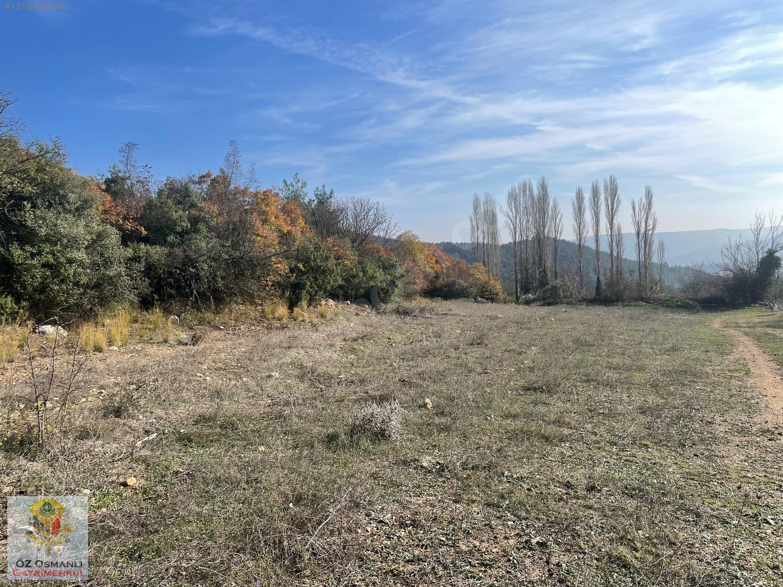1.101 M2 YOLU, SUYU OLAN ASFALTA YAKIN YATIRIMLIK TARLA - BİLECİK OSMANELİ fotoğraf 10