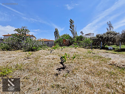 Kemalpaşa Armutlu Satılık 1120 m2 Bahçe - İZMİR KEMALPAŞA fotoğraf 3