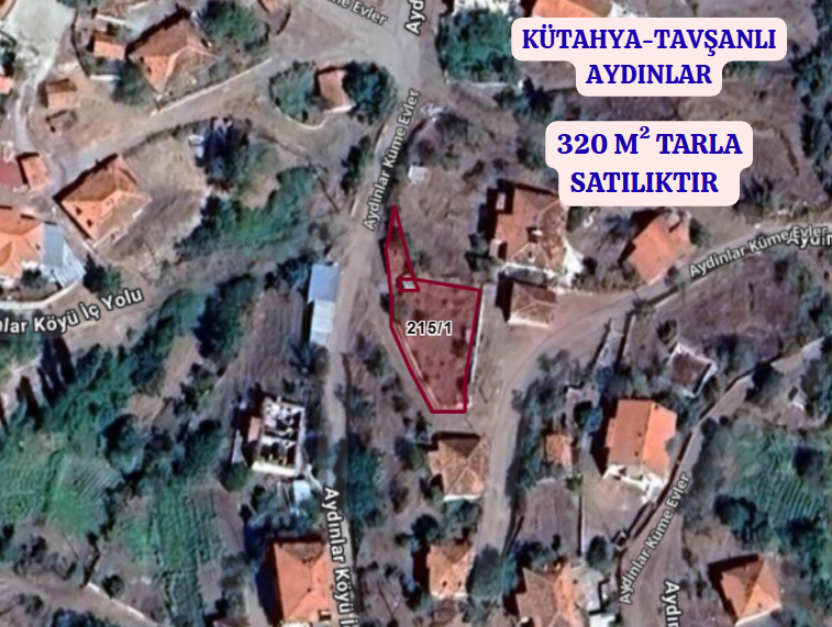 KÜTAHYA TAVŞANLI AYDINLAR  KÖYÜNDE 320 M²  TARLA SATILIKTIR - KÜTAHYA TAVŞANLI fotoğraf 2