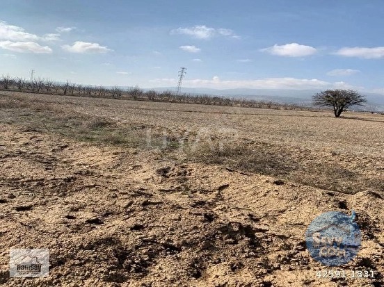 Ticari Tarla Acil Satılık - ANTALYA KORKUTELİ fotoğraf 12