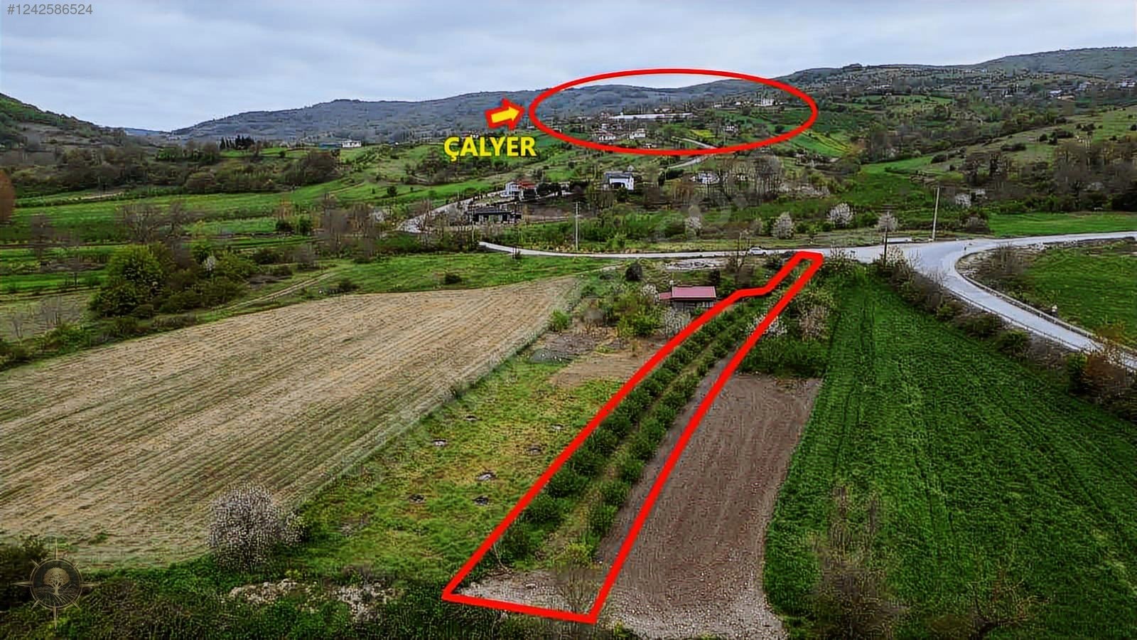 ASFALT YOLA CEPHE HOBİ BAHÇELİK KAÇIRILMAYACAK HARİKA FINDIKLIK - KOCAELİ KANDIRA fotoğraf 6