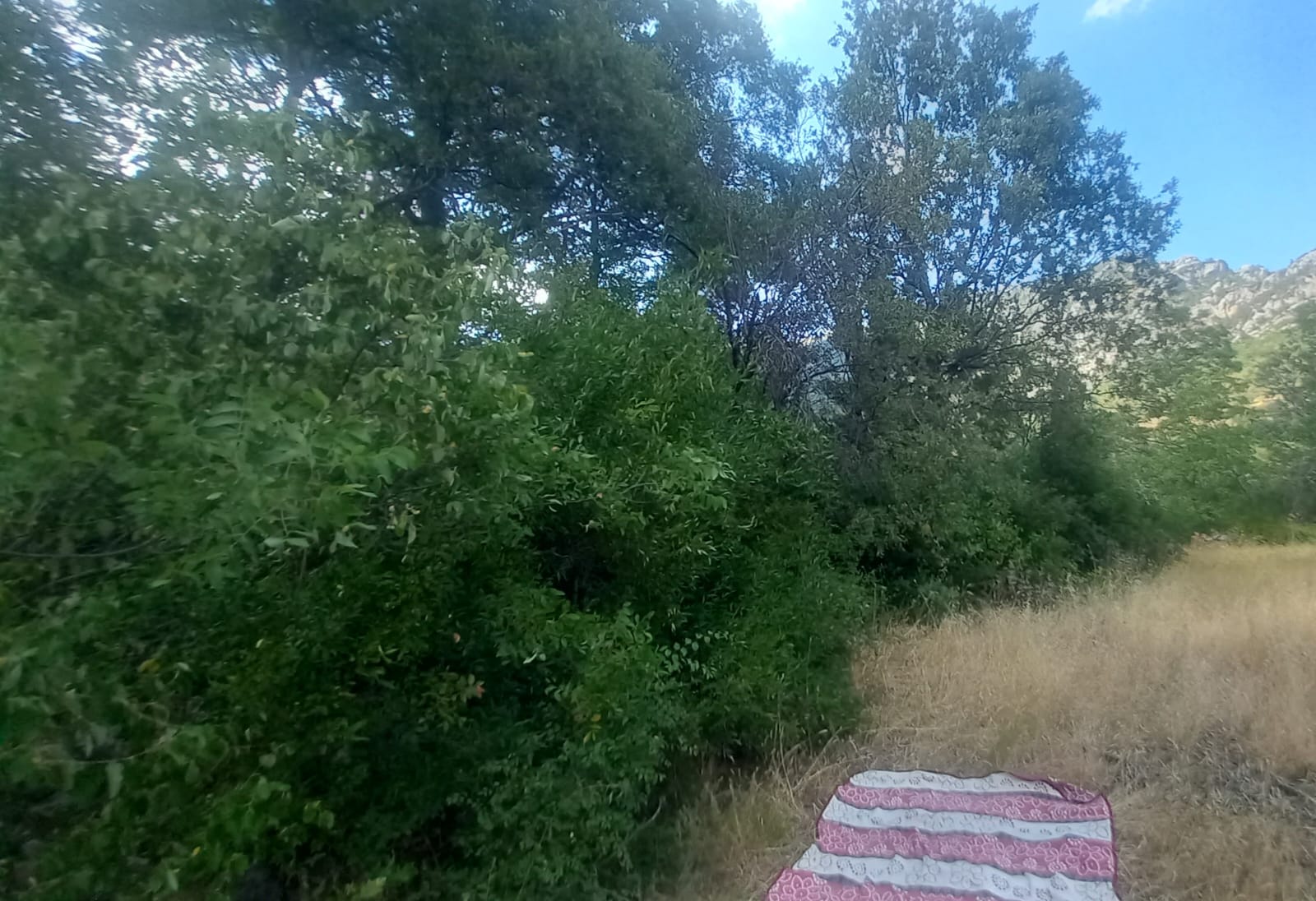 ANTALYA GÜNDOĞMUŞ PAMBELİK  KÖYÜNDE 572  M² TARLA   SATILIKTIR - ANTALYA GÜNDOĞMUŞ fotoğraf 14