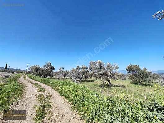 HAVRAN MESCİT MAHALLESİ OTOYOLA YAKIN 10 DÖNÜM SATIILIK ZEYTİNLİ - BALIKESİR HAVRAN fotoğraf 32