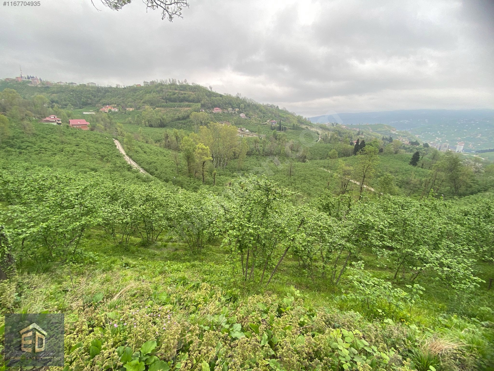 TRABZON AKOLUK'TA SATILIK 2.516M² YATIRIMA UYGUN ARSA - TRABZON ORTAHİSAR fotoğraf 8