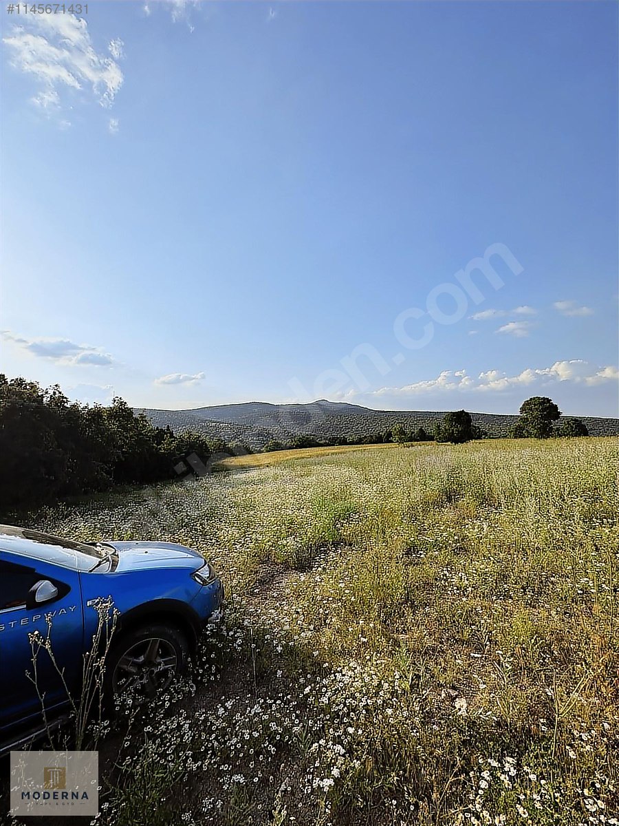 KÜTAHYA MERKEZ KİREÇÇİFLİĞİ MANZARALI 1477 M2 TAM HİSSE TARLA! - KÜTAHYA MERKEZ fotoğraf 12