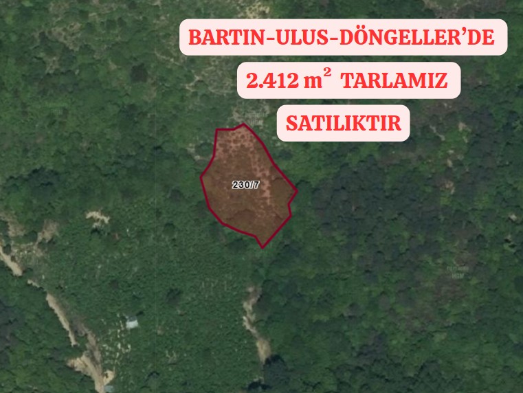 BARTIN ULUS DÖNGELLER KÖYÜNDE 2.412 M² TARLA SATILIKTIR. - BARTIN ULUS fotoğraf 2