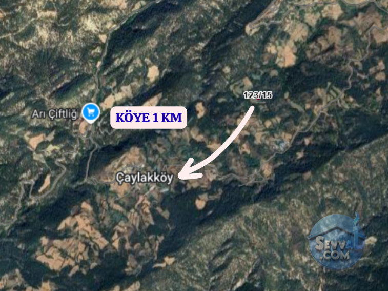 BOLU GÖYNÜK ÇAYLAK  KÖYÜNDE  367 M²  TARLA  SATILIKTIR - BOLU GÖYNÜK fotoğraf 4