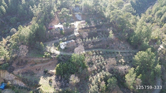 ANAMUR KORUCUKTA MÜSTAKİL SATILIK ZEYTİN VE AVOKADO BAHÇESİ - MERSİN ANAMUR fotoğraf 32