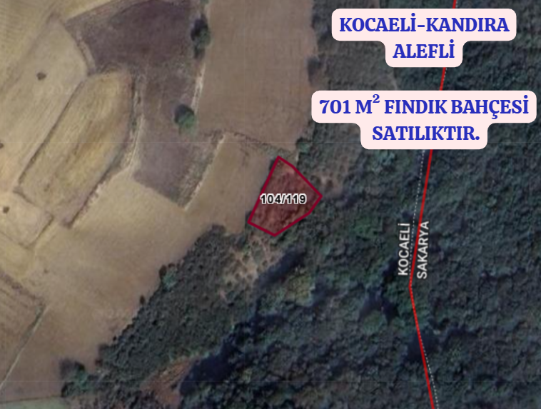 KOCAELİ KANDIRA ALEFLİ KÖYÜNDE 701 M²  FINDIK BAHÇESİ  SATILIKTIR - KOCAELİ KANDIRA fotoğraf 2
