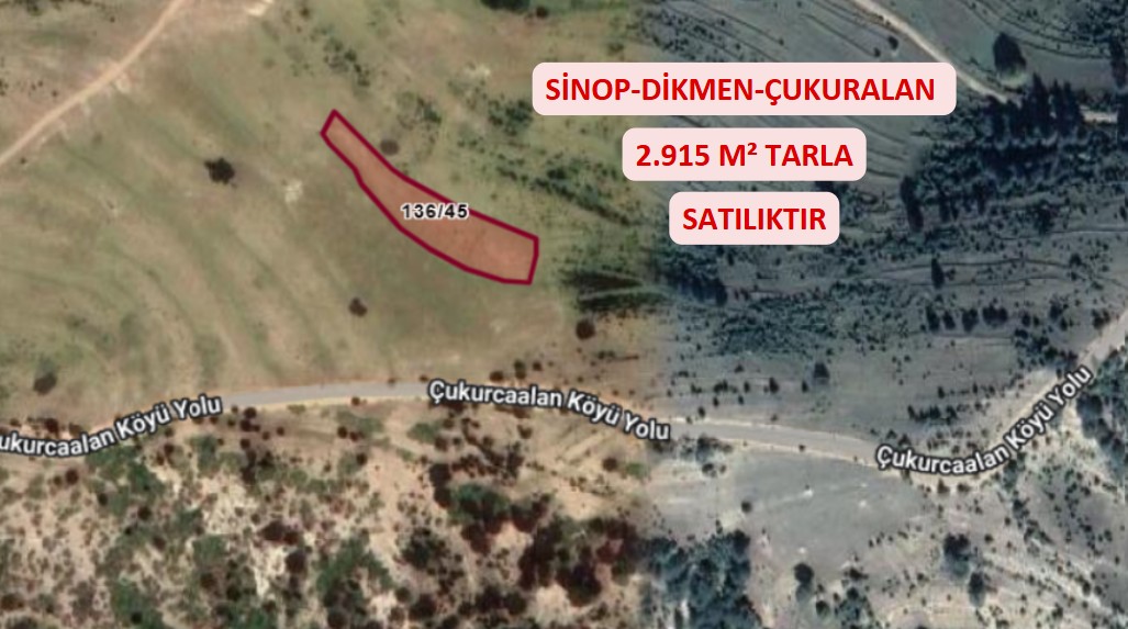 SİNOP DİKMEN ÇUKURCAALAN KÖYÜNDE 2.915M² TARLA SATILIK - SİNOP DİKMEN fotoğraf 2