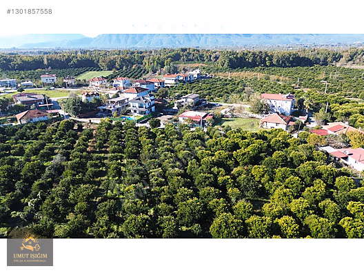 TOPARLARDA , YERLEŞİM ALANINDA SATILIK - MUĞLA KÖYCEĞİZ fotoğraf 11