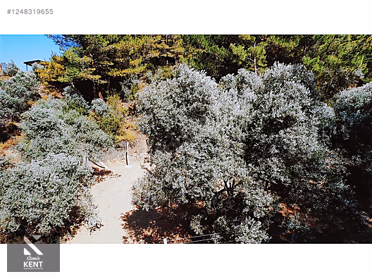 Kemalpaşa Armutlu Satılık 300 m2 Bahçe Tek Tapu - İZMİR KEMALPAŞA fotoğraf 15