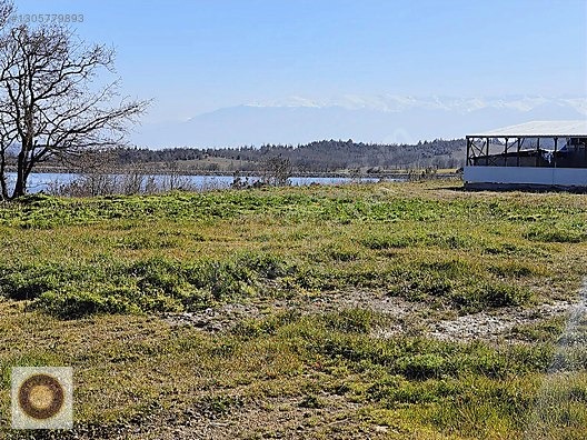 KESTEL GÖLCÜK MH SATILIK GÖL KENARI ÇİFTLİK - BURSA KESTEL fotoğraf 29