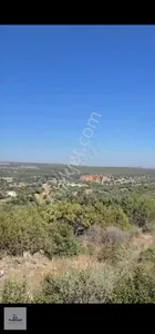 Didim Akyeniköy Balova Mevkiinde Yatırımlık Arsa - AYDIN DİDİM fotoğraf 14