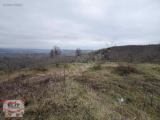 DÜZCE AKÇAKOCA DA EV YAPIMINA UYGUN SATILIK 7.768 M2 FINDIKLIK - DÜZCE AKÇAKOCA fotoğraf 16