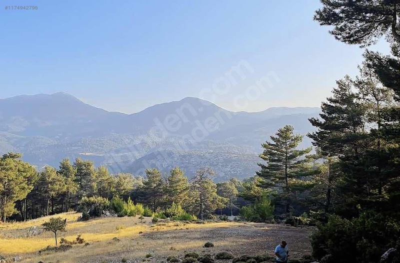 Antalya / Kaş / Çamlıköy Mahallesinde 1.257 m² SATILIK ARSA  - ANTALYA KAŞ fotoğraf 5