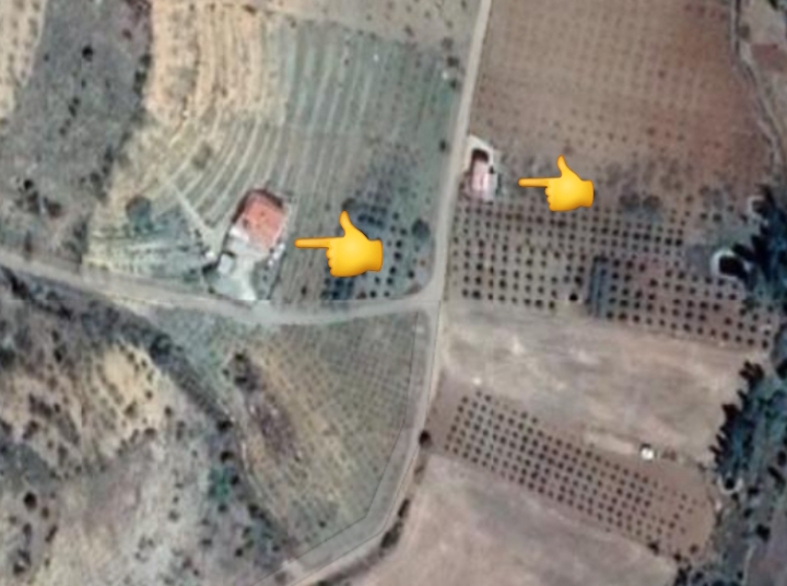 KONYA BOZKIR HAMZALAR KÖYÜNDE 4.606M² BAĞIMIZ SATILIKTIR. - KONYA BOZKIR fotoğraf 11