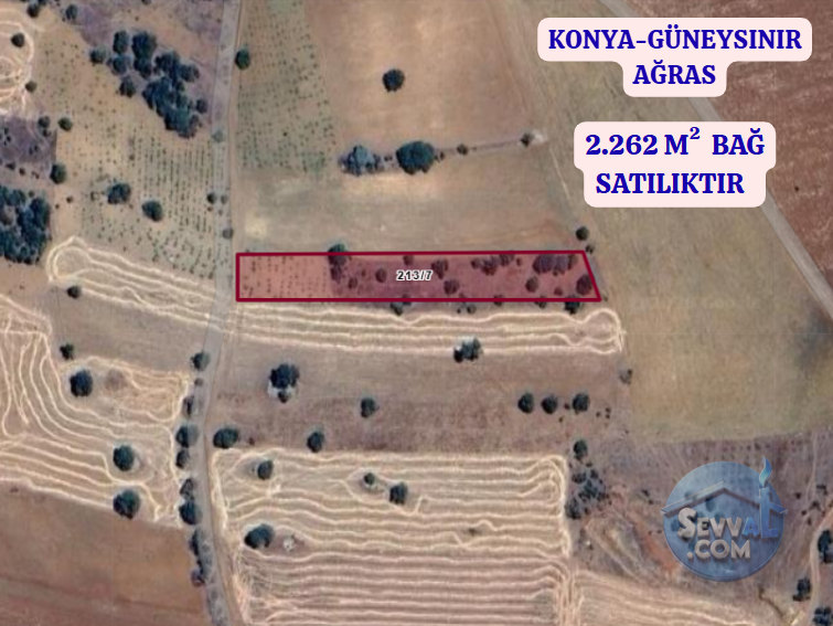 KONYA GÜNEYSINIR AĞRAS  KÖYÜNDE  2.262 M²  BAĞ  SATILIKTIR - KONYA GÜNEYSINIR fotoğraf 2