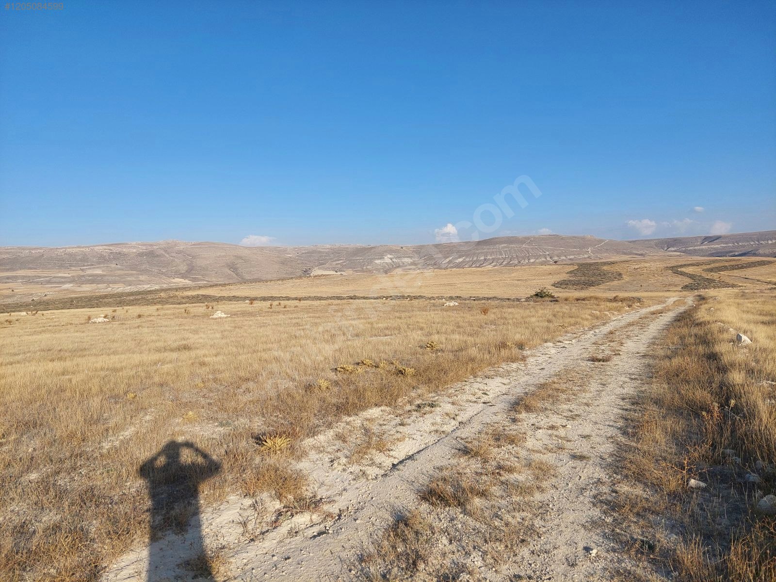 Mut Güme 12 dönüm tek tapu köye yakın tarla  12031M²  - MERSİN MUT fotoğraf 5