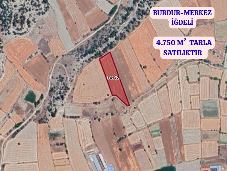 BURDUR MERKEZ İĞDELİ   KÖYÜNDE  4.750  M²  TARLA  SATILIKTIR - BURDUR MERKEZ fotoğraf 2