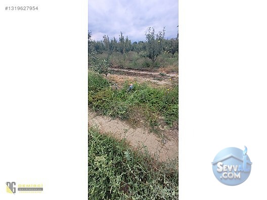 Ali Bey Köy'de Satılık Tarla 7884 M², Sulama Hatlı, Yola Yakın - BURSA İNEGÖL fotoğraf 6