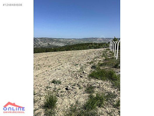 RESMİ YOLLU ARAZİ - BİLECİK YENİPAZAR fotoğraf 8