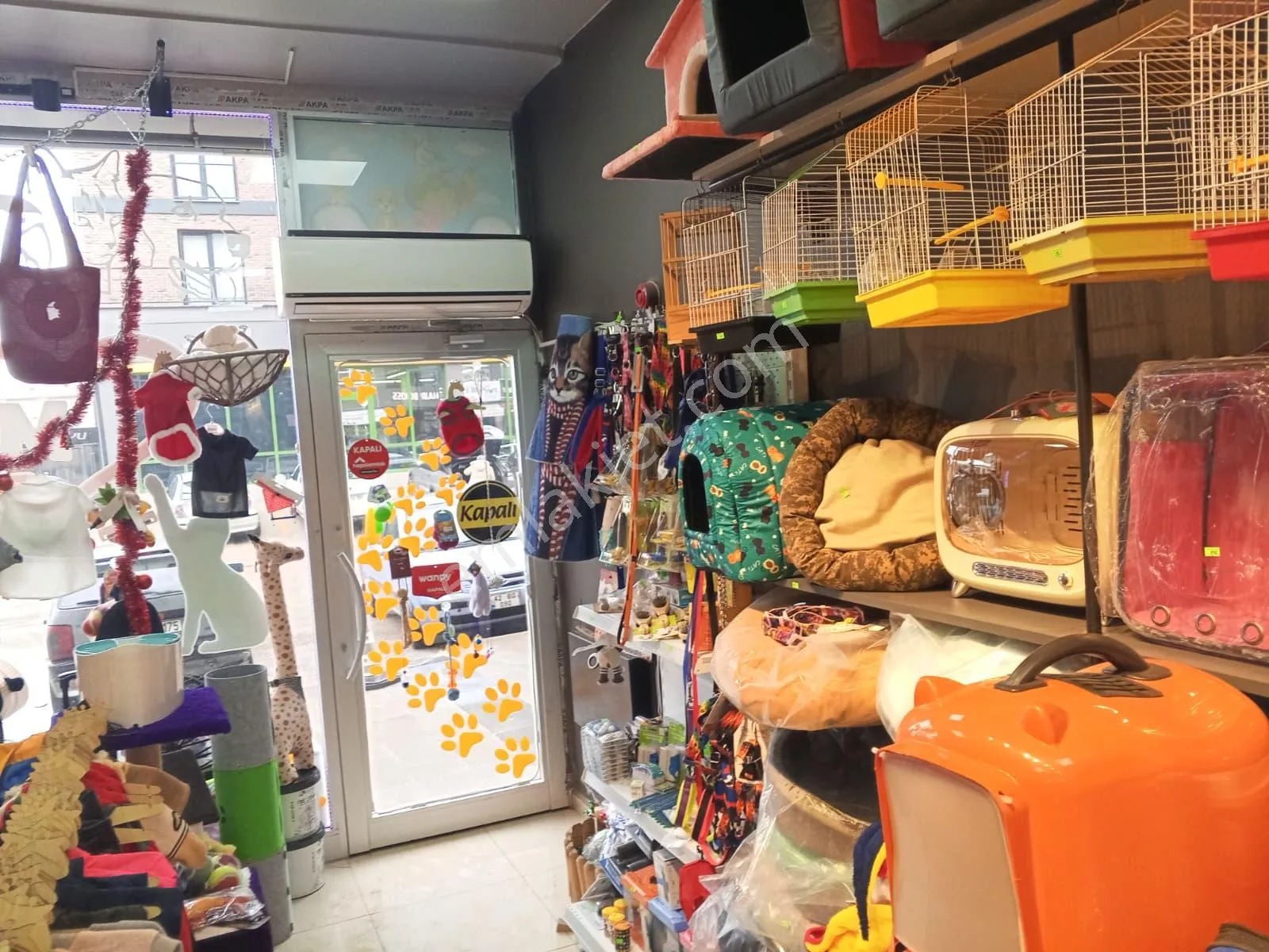 Devren Satılık Yüksek Cirolu Petshop - KOCAELİ KÖRFEZ fotoğraf 26