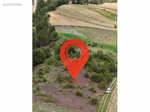 BALIKESİR DURSUNBEY AKYAYLA   KÖYÜNDE  370  M² BAĞ  SATILIKTIR - BALIKESİR DURSUNBEY fotoğraf 8
