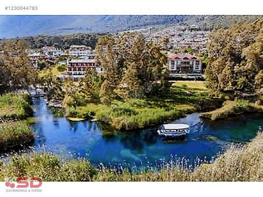 Muğla Ula Gökçe Köyü Fırsat Narenciye Bahçesi - MUĞLA ULA fotoğraf 5