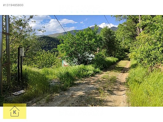KÜTAHYA ŞAPHANE SUBAŞI'NDA SATILIK 2249m² BAHÇE - KÜTAHYA ŞAPHANE fotoğraf 8