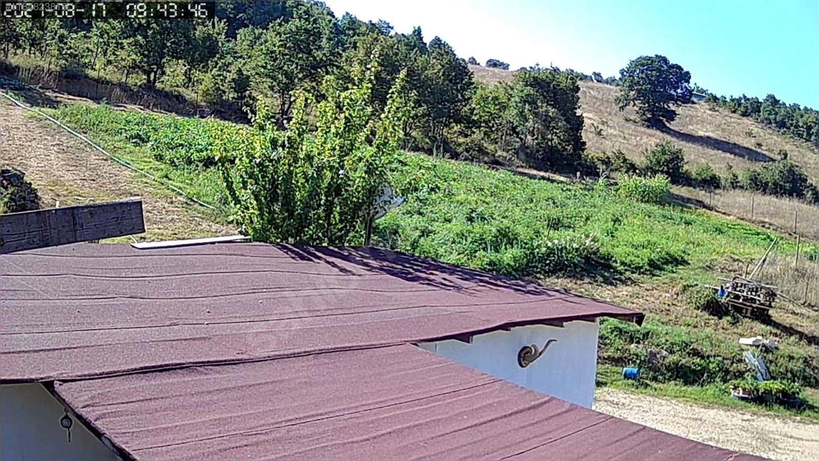 BURSA İZNİK BAYINDIR KÖYÜNDE 5.808 M² TARLA SATILIKTIR - BURSA İZNİK fotoğraf 16