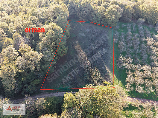 SAKARYA KAYNARCA CEBEK 2786 M2 KARE ORMANA CEPHELİ RESMİ YOLLU - SAKARYA KAYNARCA fotoğraf 9