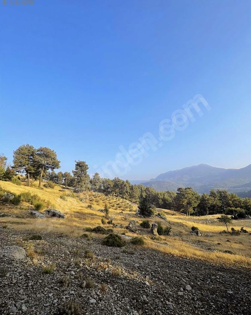 Antalya / Kaş / Çamlıköy Mahallesinde 1.257 m² SATILIK ARSA  - ANTALYA KAŞ fotoğraf 8