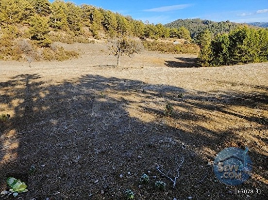 🚨 GEDİZ'DE KÖY MANZARALI 6.266 M² EŞSİZ ARAZİ 🚨 - KÜTAHYA GEDİZ fotoğraf 8