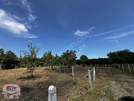 KARASU KUYUMCULUDA SATILIK 463 M2 FIRSAT ARSA - SAKARYA KARASU fotoğraf 23