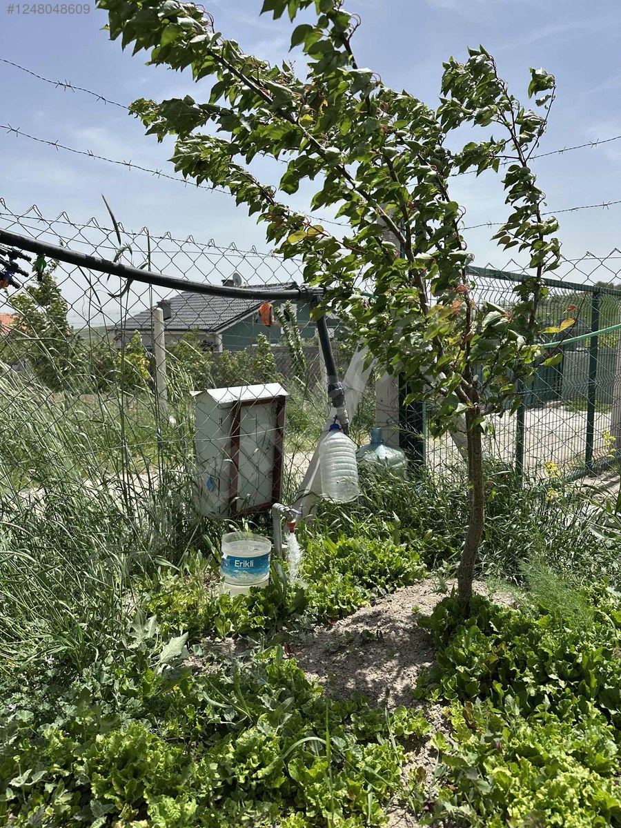 ANKARA ÇUBUK AĞILCIK KÖYÜNDE TARLAMIZIN 500 M² Sİ SATILIKTIR - ANKARA ÇUBUK fotoğraf 13