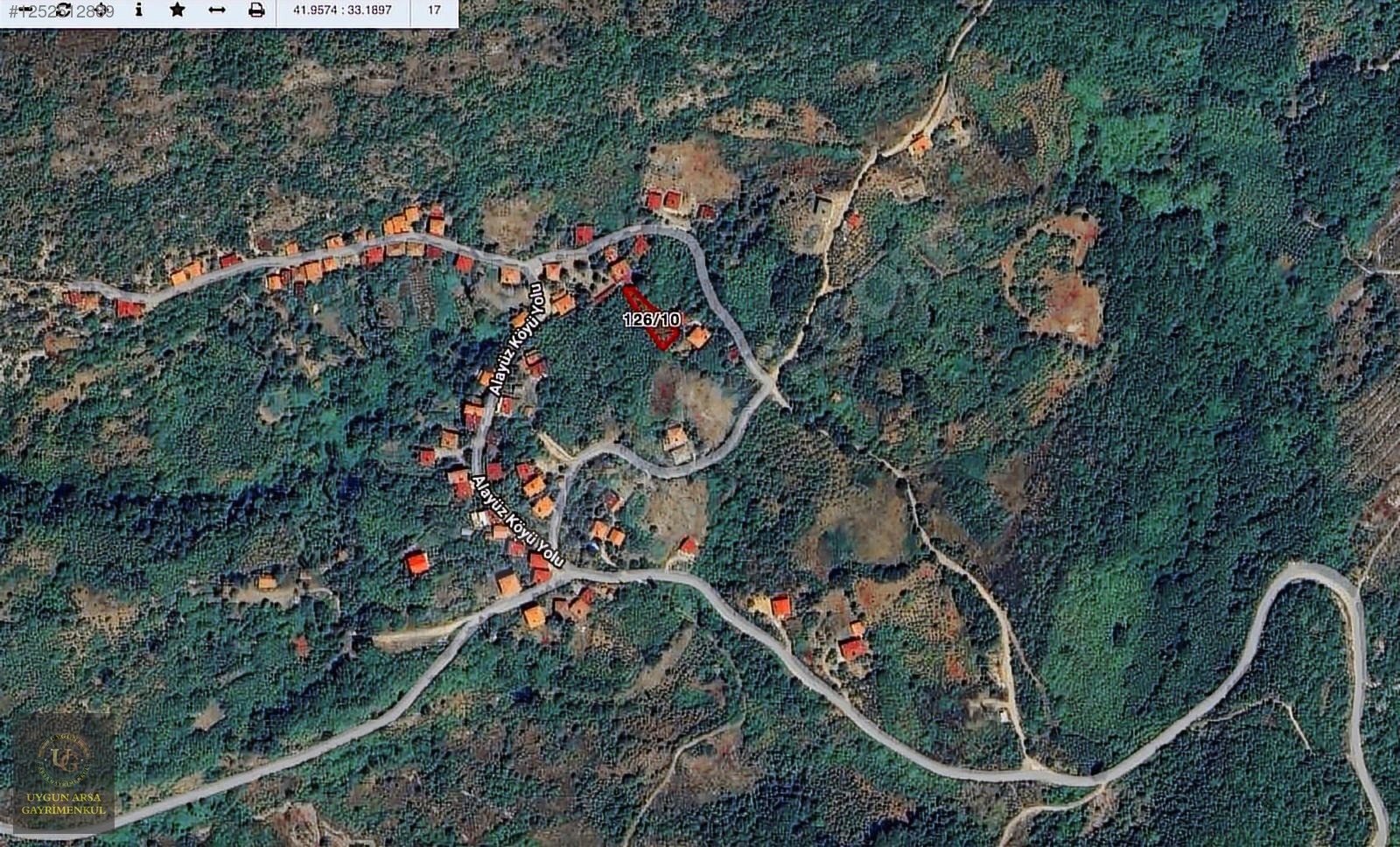KASTAMONU CİDE'DE KÖY İÇİNDE DENİZ MANZALARI FINDIK BAHÇESİ - KASTAMONU CİDE fotoğraf 16