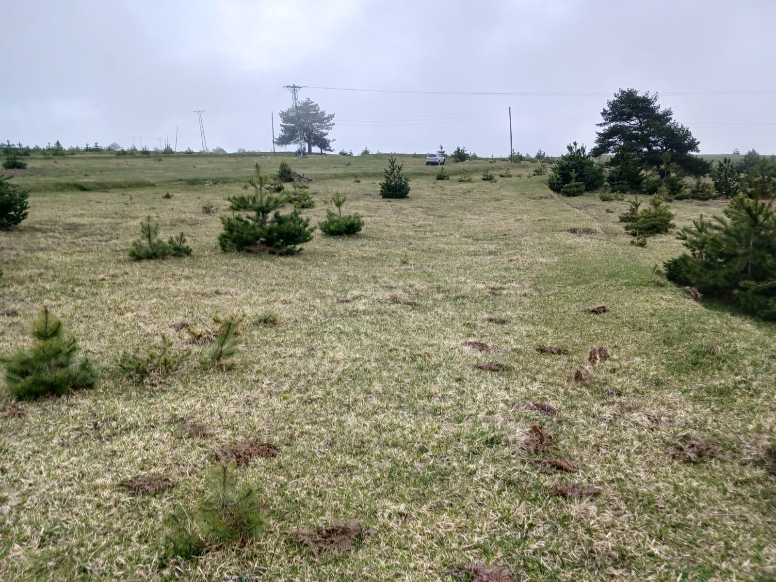SİNOP DİKMEN ÇUKURCAALAN KÖYÜNDE 2.915M² TARLA SATILIK - SİNOP DİKMEN fotoğraf 26