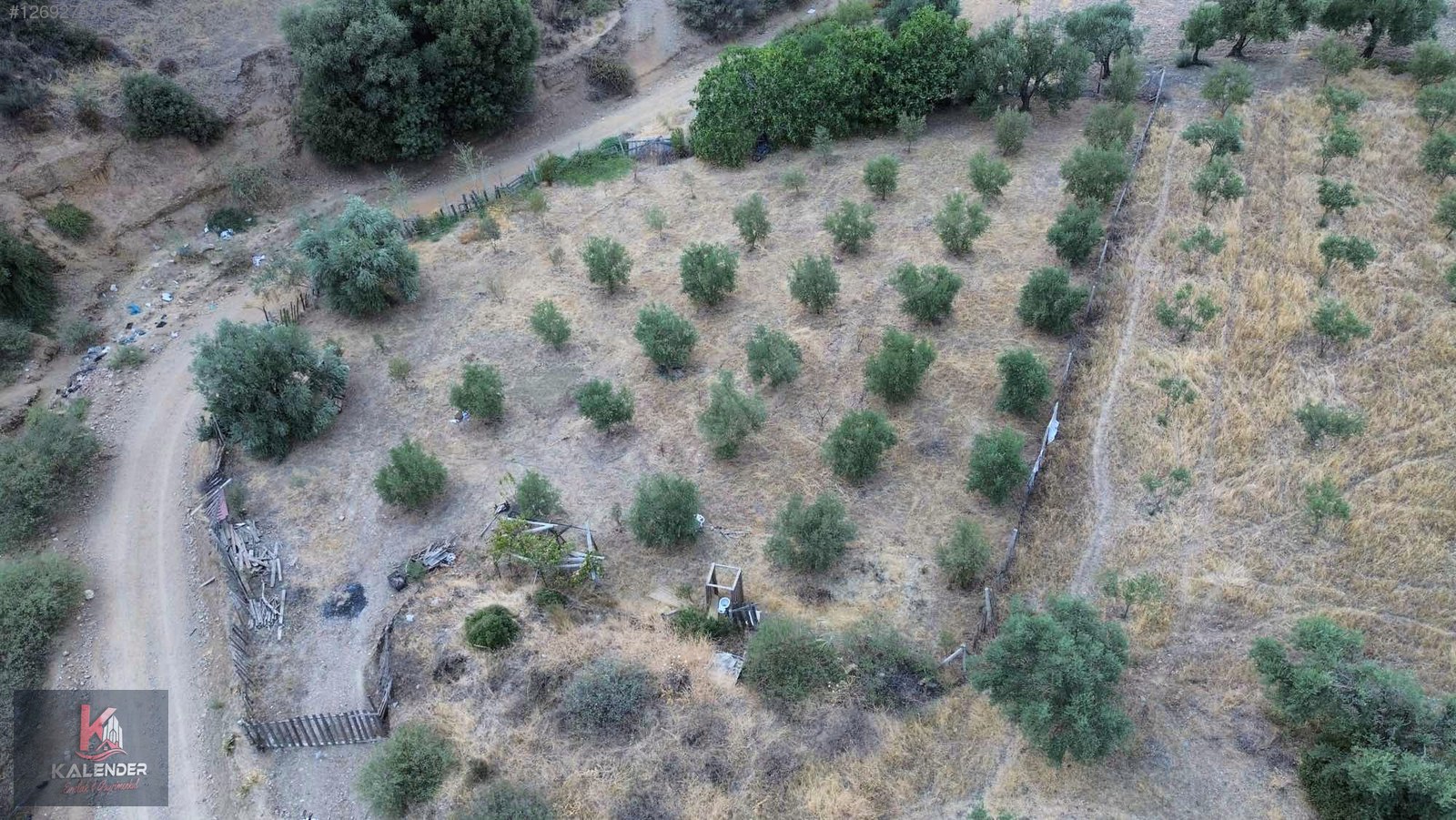 KALENDER EMLAKTAN DERBENTTE SATILIK 1.150 M2 TEK TAPU ZEYTİNLİK - MANİSA TURGUTLU fotoğraf 2