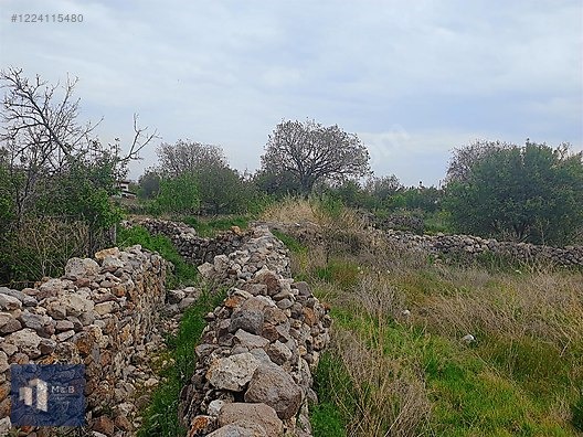 SARAYKÖY'DE SATILIK MÜSTAKİL 248 M2 BAHÇE - KONYA SELÇUKLU fotoğraf 3