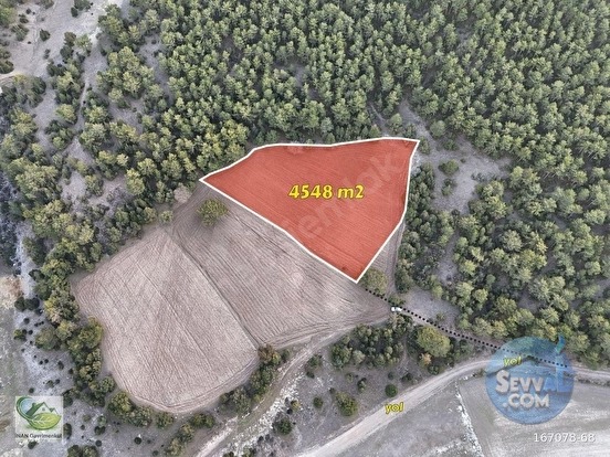 🚨 KÜTAHYA / AKÇAMESCİT'TE KÖYÜN ÜSTÜNDE 4.548 M² HARİKA ARAZİ 🚨 - KÜTAHYA MERKEZ fotoğraf 4