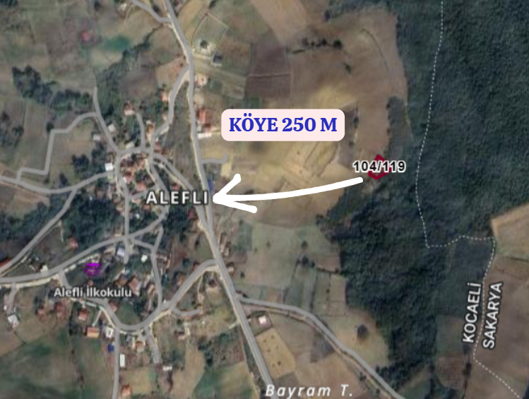 KOCAELİ KANDIRA ALEFLİ KÖYÜNDE 701 M²  FINDIK BAHÇESİ  SATILIKTIR - KOCAELİ KANDIRA fotoğraf 4