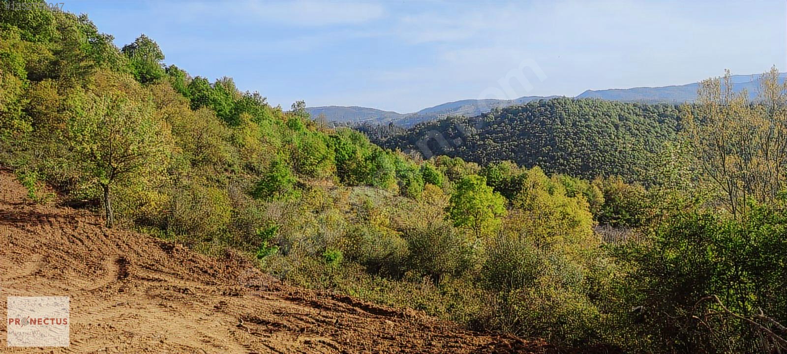 ÇAMDİBİ BOZKURT MAHALLESİNDE 665 M2 SATILIK TARLA - KOCAELİ KARAMÜRSEL fotoğraf 5