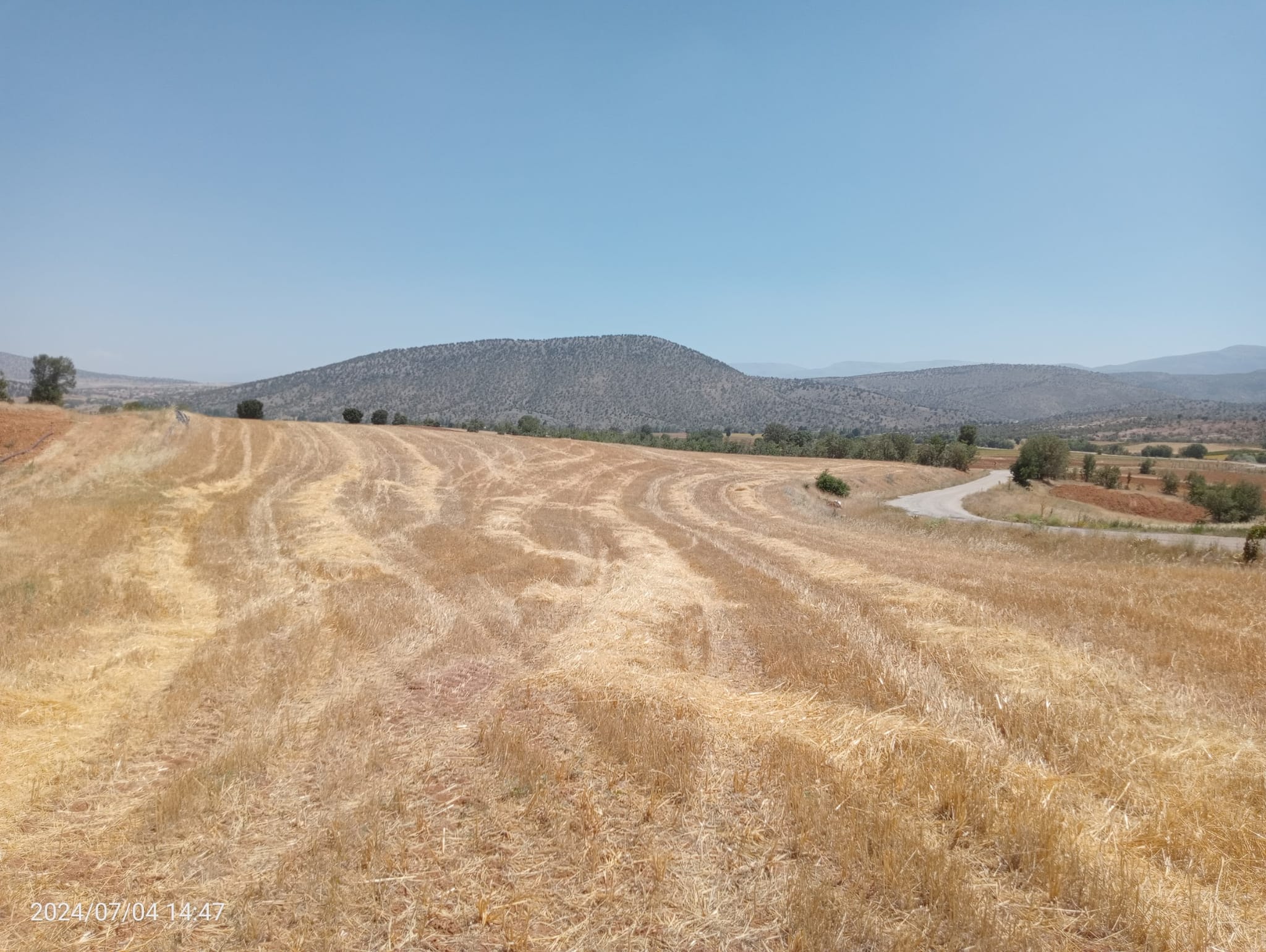    KARAMAN MERKEZ MURATDEDE  KÖYÜNDE 2.927  M²  TARLA  SATILIKTIR - KARAMAN MERKEZ fotoğraf 5