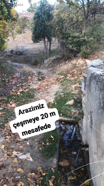 ASFALT YOLA CEPHELİ YATIRIMLIK 11 DÖNÜM - BURSA BÜYÜKORHAN fotoğraf 3