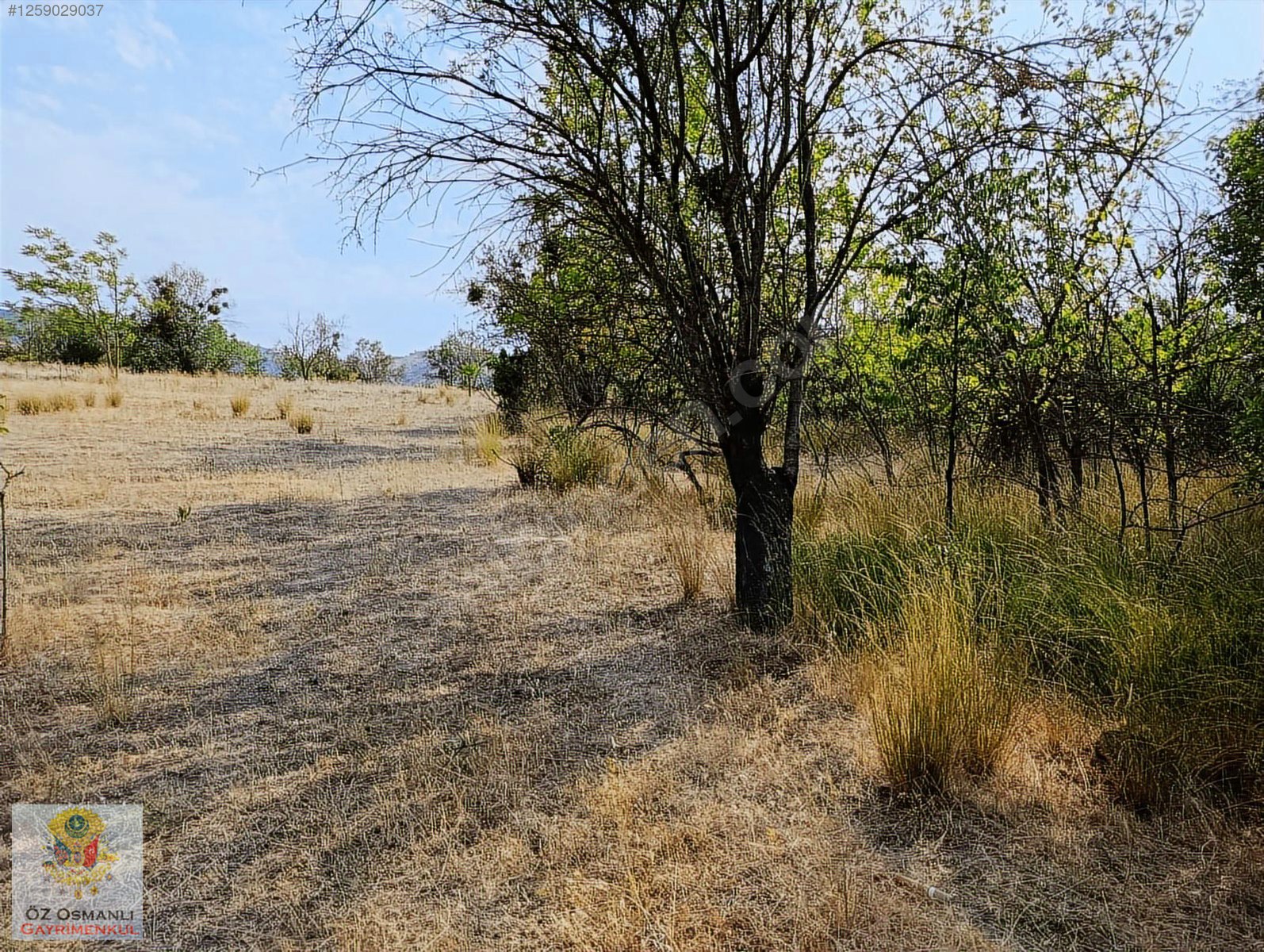 YOLU VE ÜCRETSİZ SUYU OLAN KAÇIRILMAYACAK BAYRAM KAMPANYASI - BİLECİK SÖĞÜT fotoğraf 2