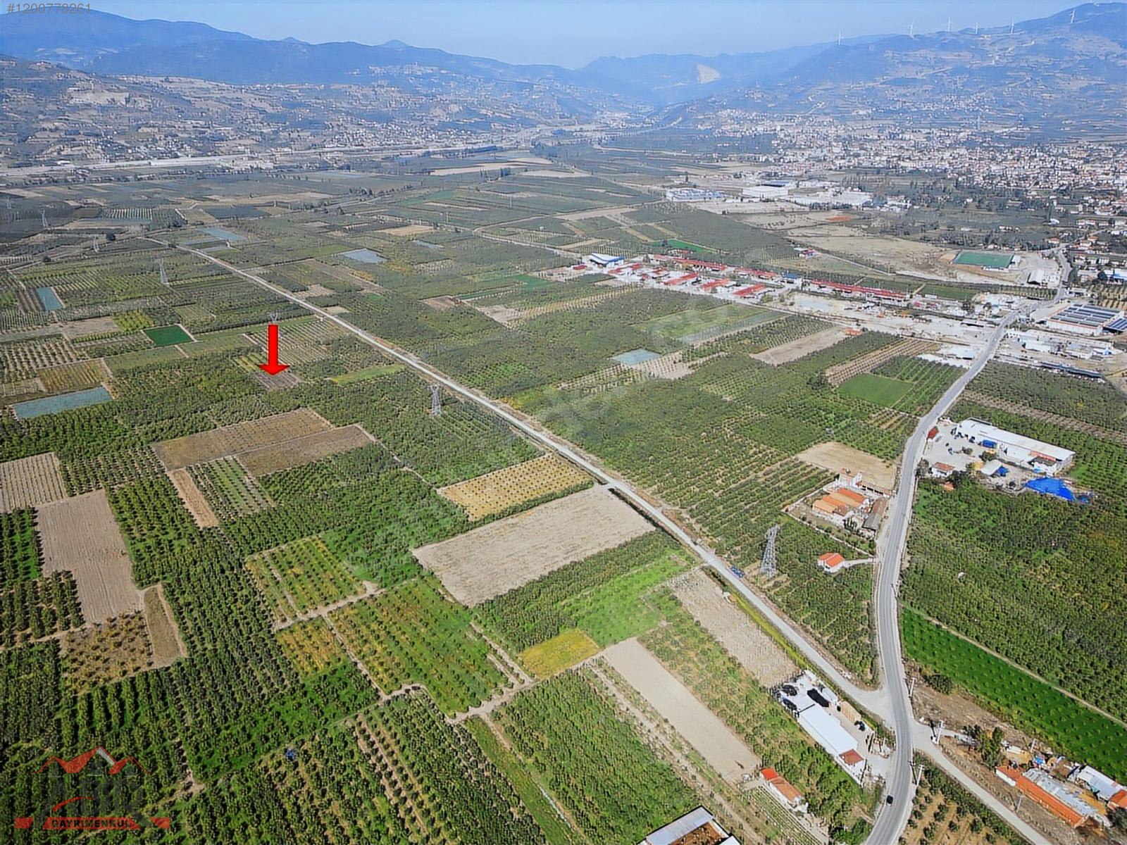 SAKARYA GEYVE UMURBEY MAH. 2444,26 M2 SATILIK TARLA - SAKARYA GEYVE fotoğraf 26